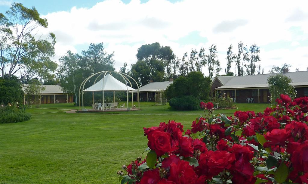 Coonawarra Place Motor Inn Exterior foto