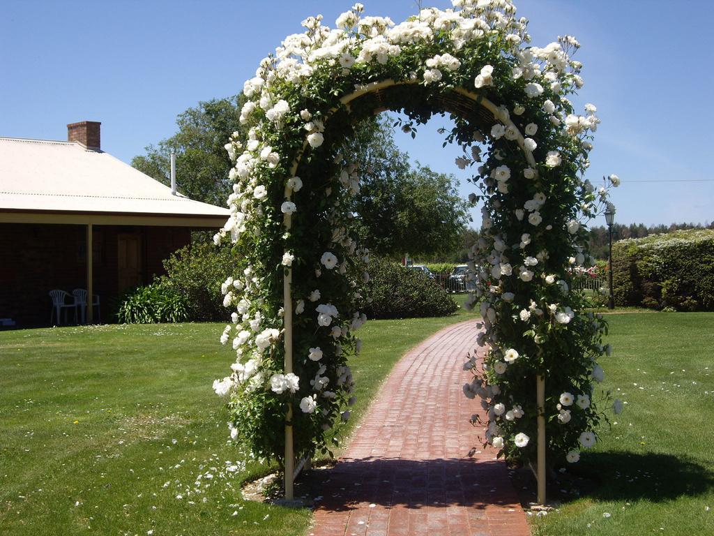 Coonawarra Place Motor Inn Exterior foto