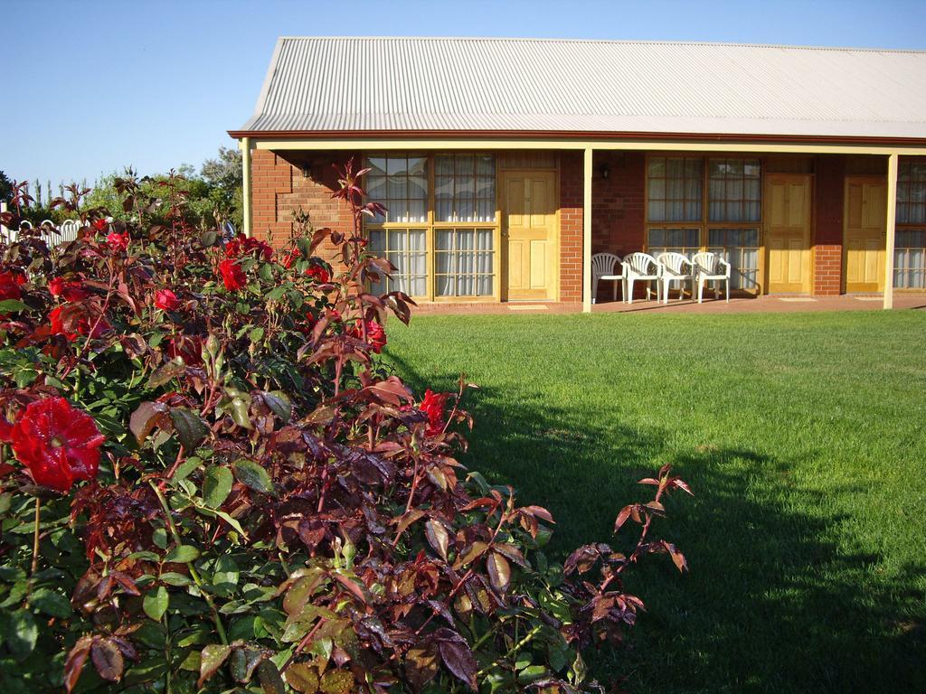 Coonawarra Place Motor Inn Exterior foto