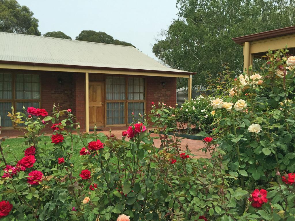 Coonawarra Place Motor Inn Exterior foto