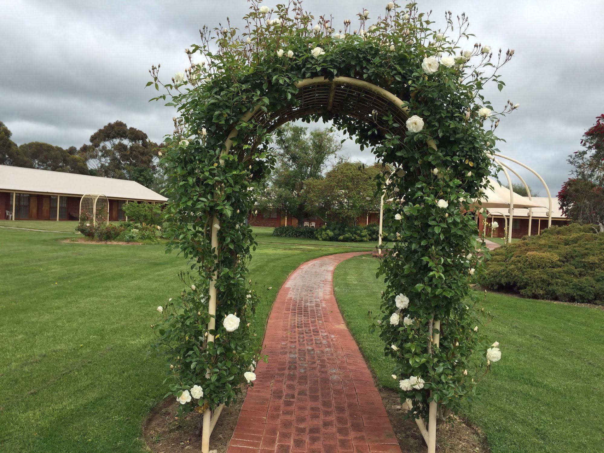 Coonawarra Place Motor Inn Exterior foto
