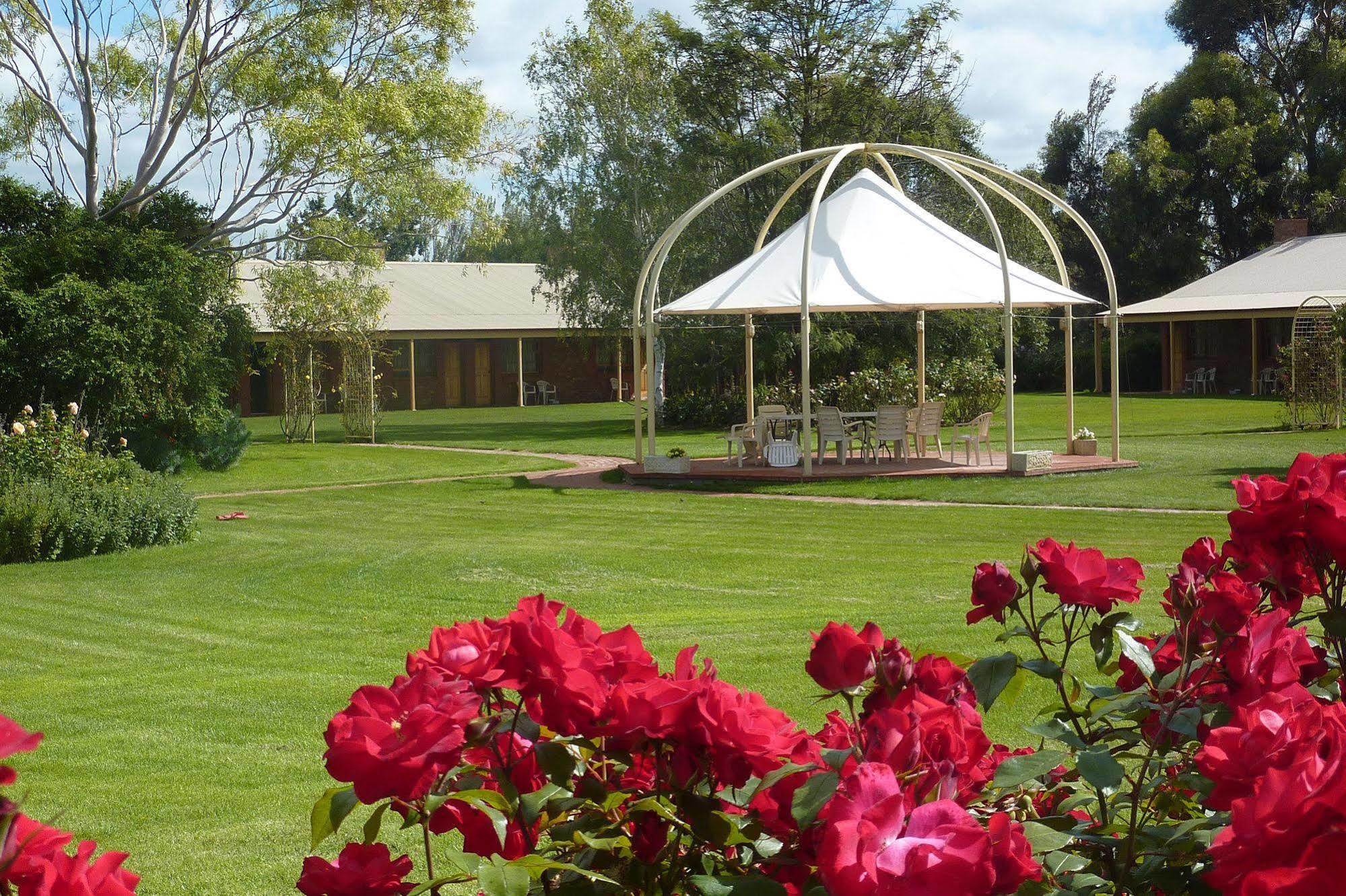 Coonawarra Place Motor Inn Exterior foto