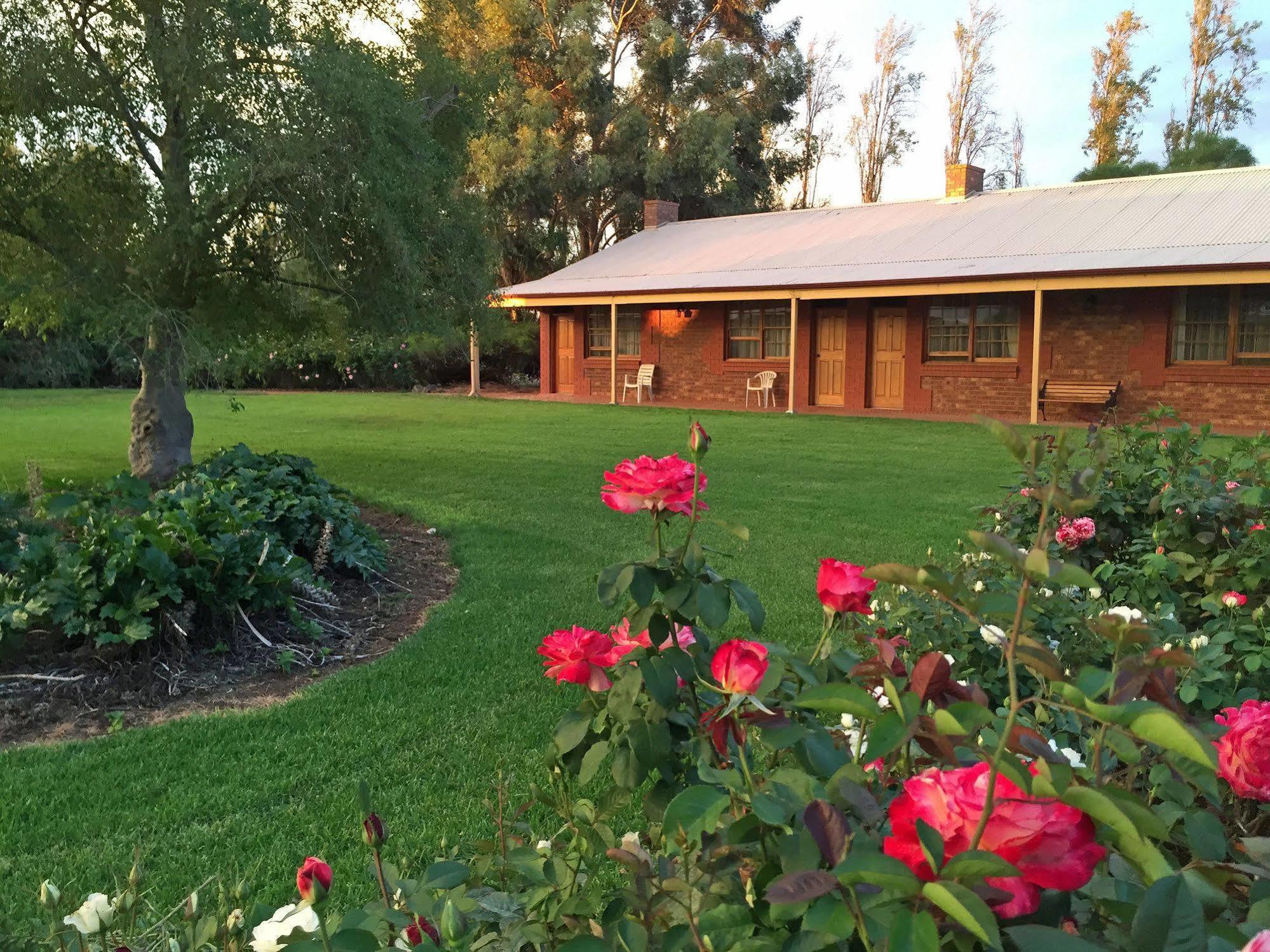 Coonawarra Place Motor Inn Exterior foto